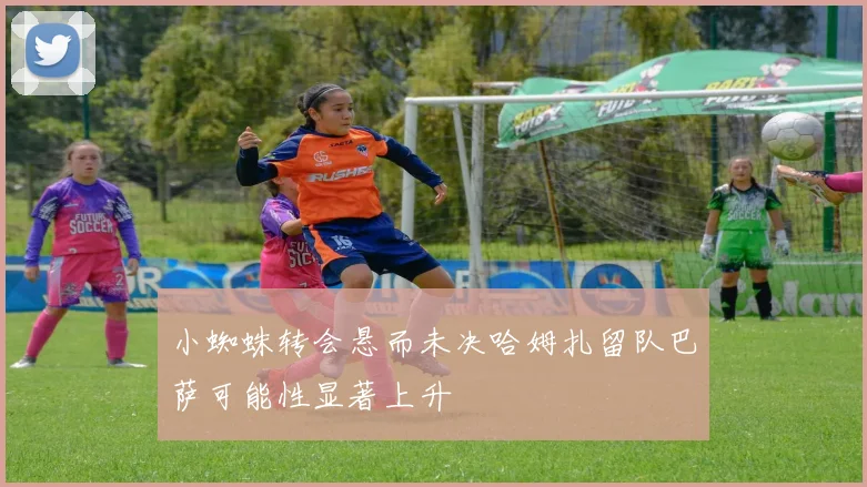 小蜘蛛转会悬而未决哈姆扎留队巴萨可能性显著上升